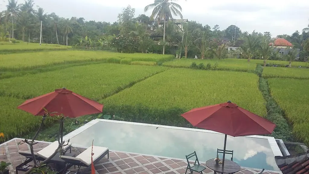 Pondok Bungkuan 乌布 印尼
