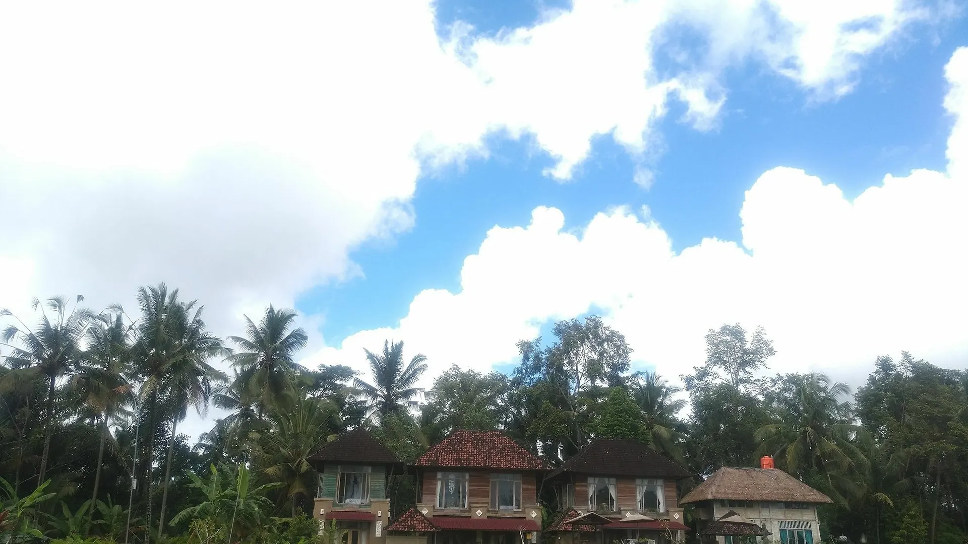 Pondok Bungkuan 乌布 招待所